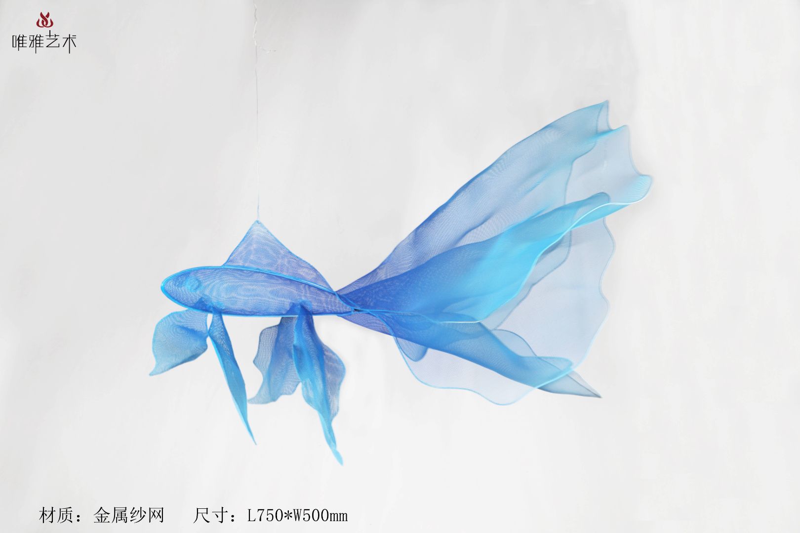 JS-XZS-YC- Fish 007-01a1