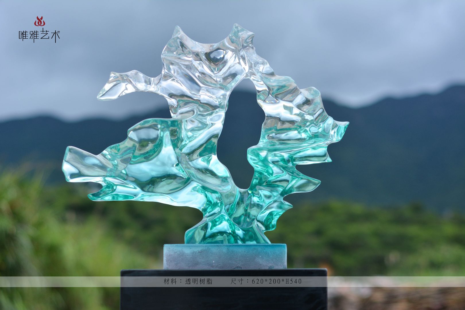 TMSZ-JY- The Taihu Lake Stone 003-24a2