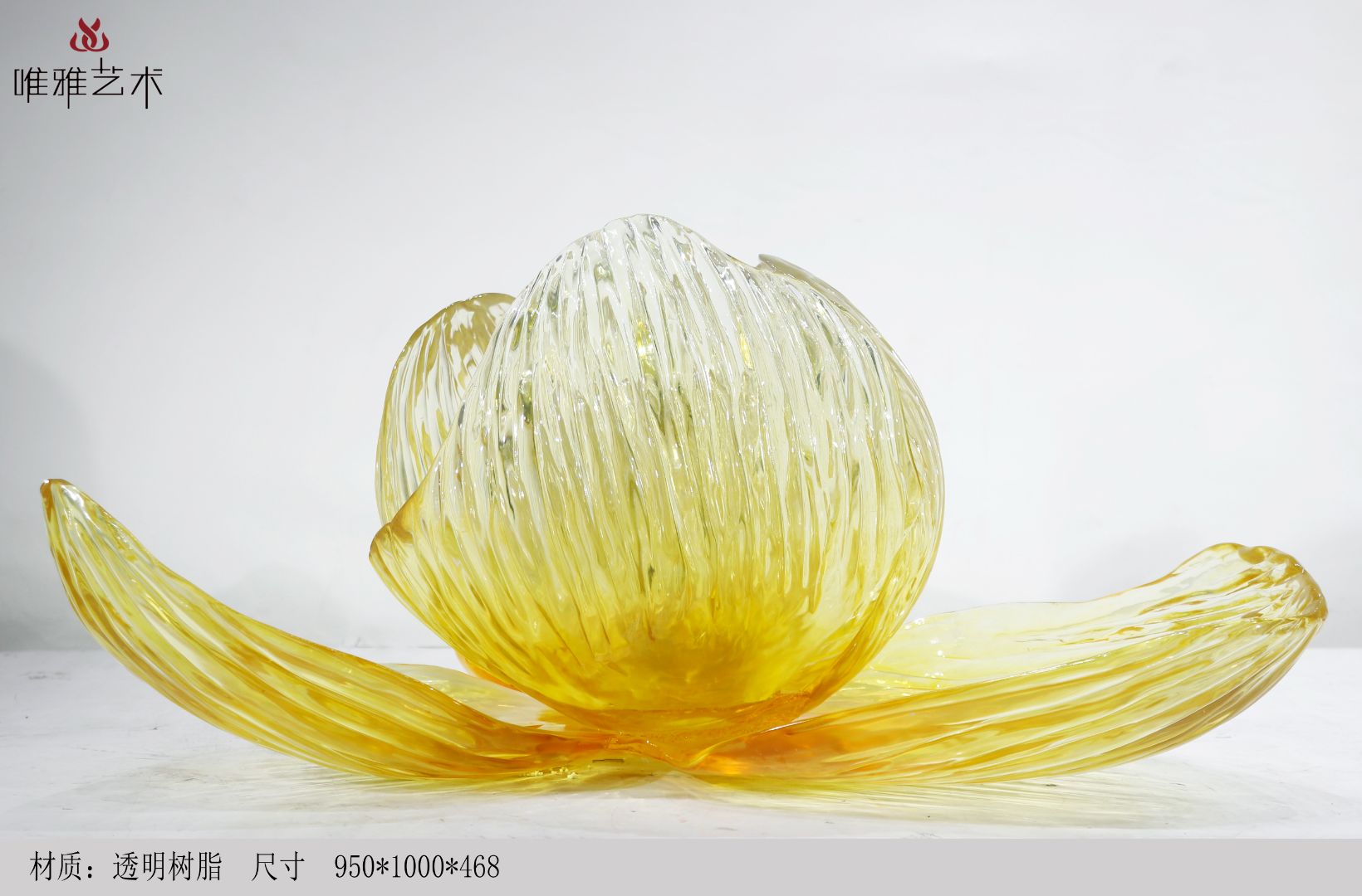 TMSZ-JY- flower 006-10a1