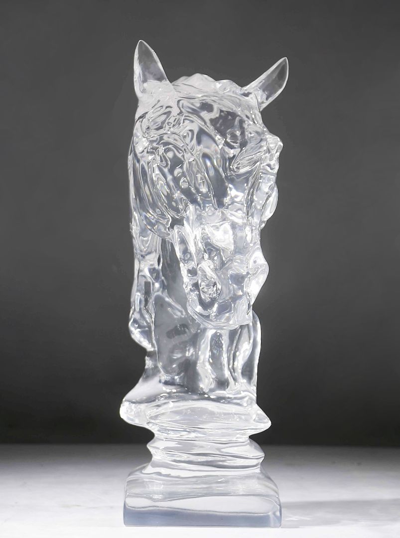 TMSZ-JY- animal 020-01a2