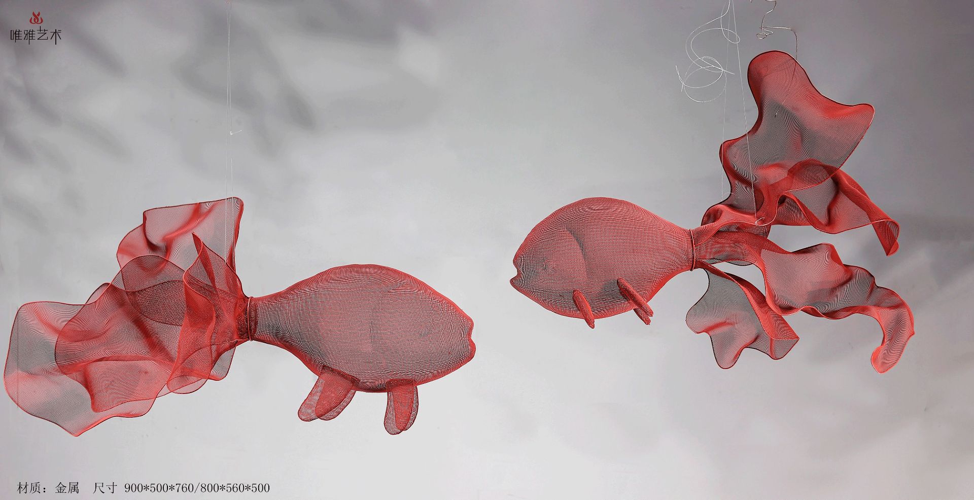 BGDS-DS- fish 006-02a1