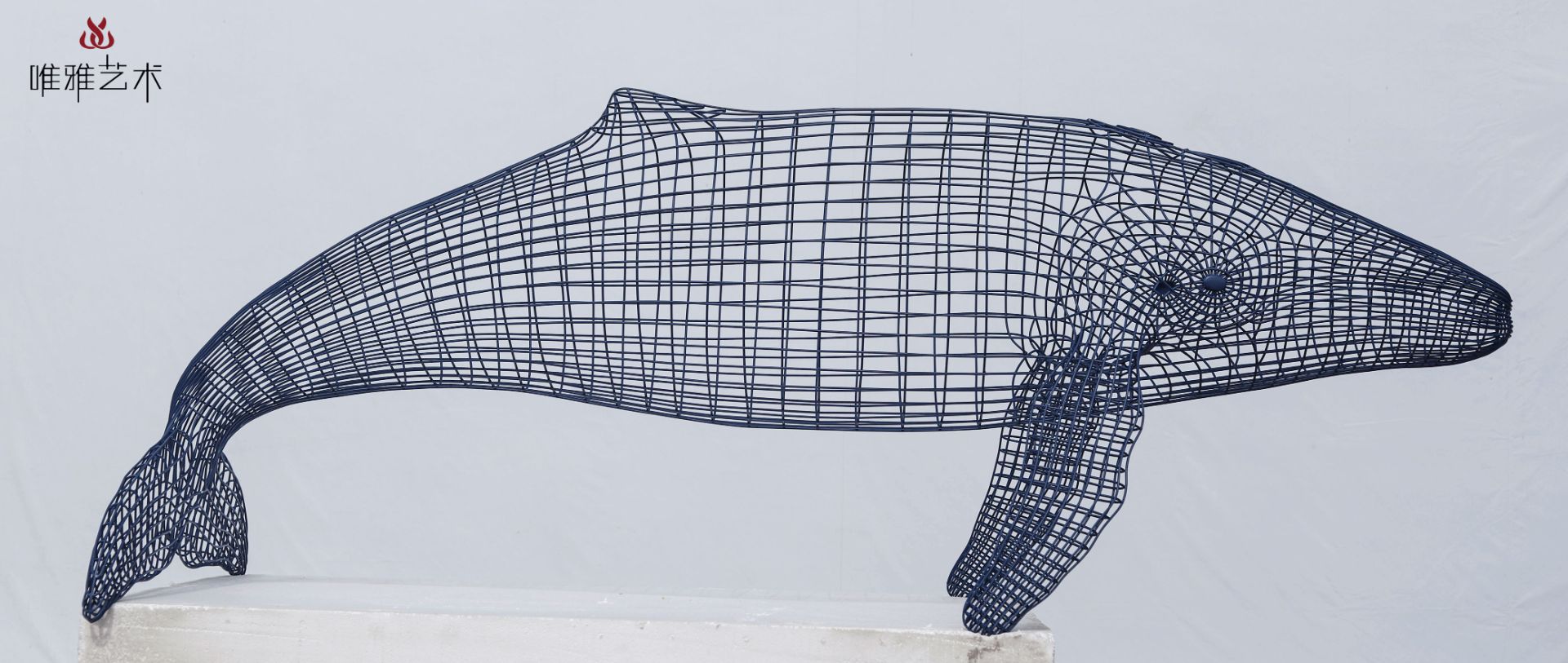 BGDS-DS- fish 006-07a1