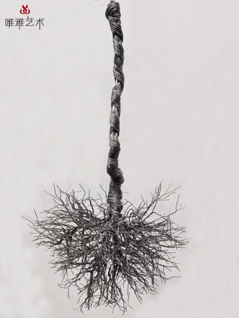BGDS-DS- plant 023-02a1