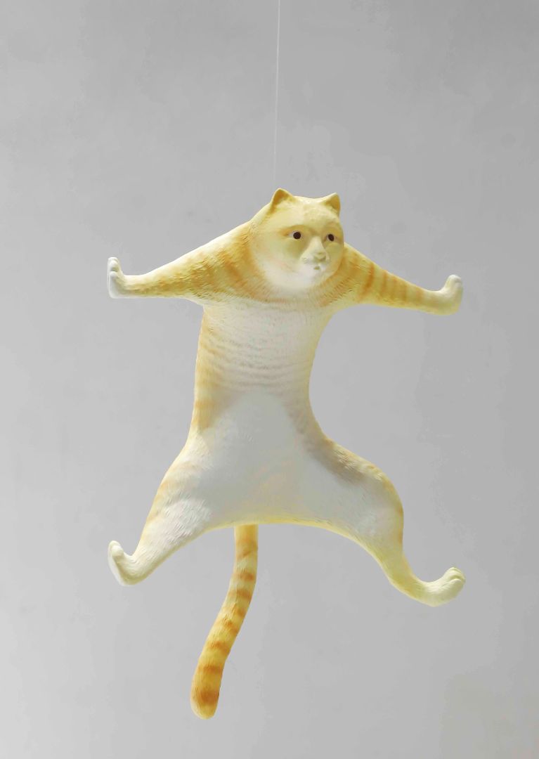 BLG-CW-D- cat 006-13a2