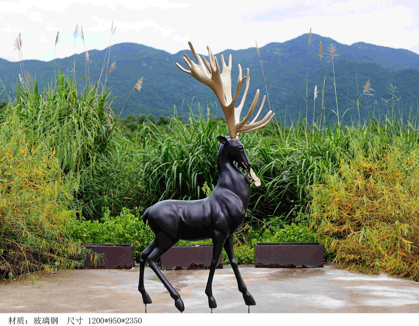 BLG-CW-D- deer 008-03b1