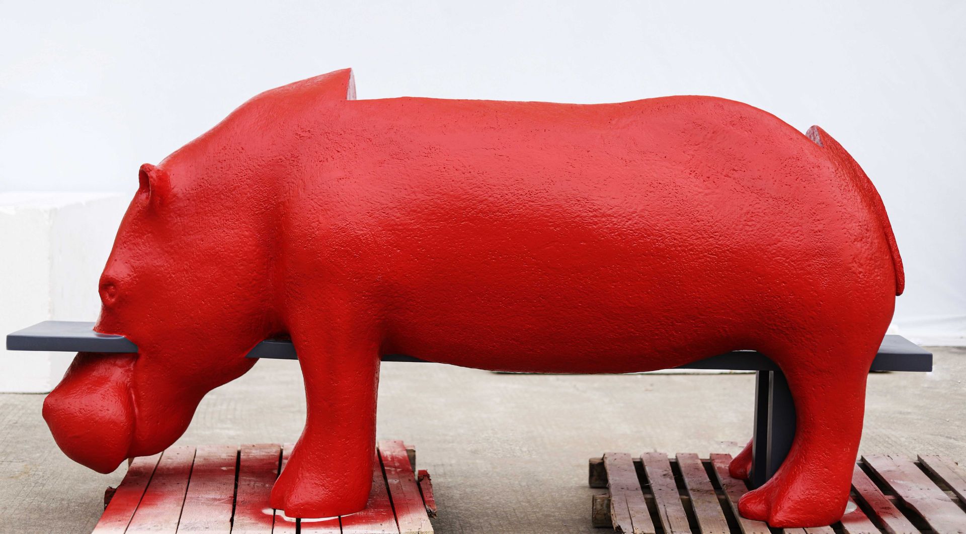 BLG-CW-D- hippopotamus 012-01a3