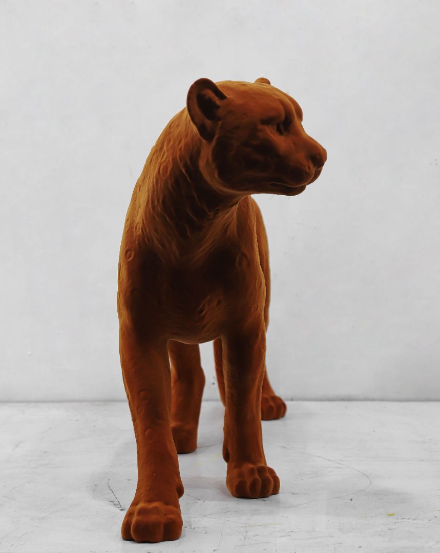 BLG-CW-D- leopard 016-03a3