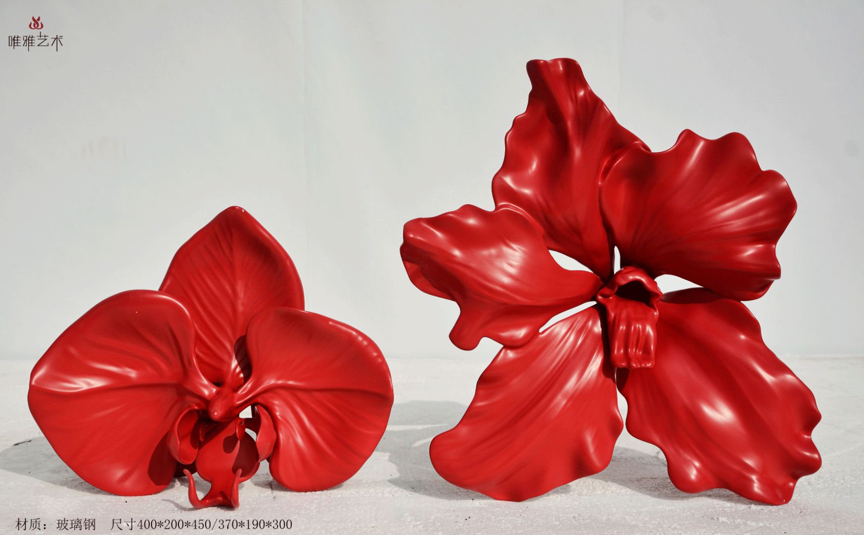 BLG-CX-Y- flower001 -036a1