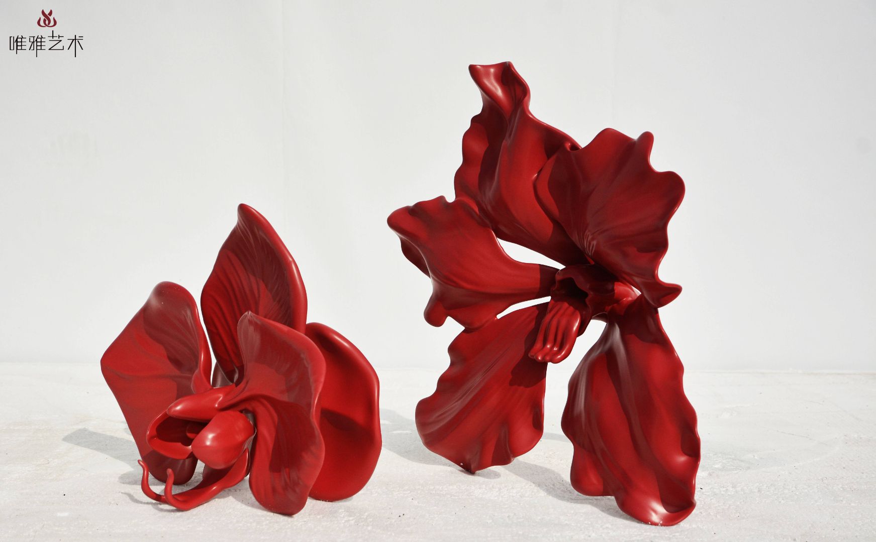 BLG-CX-Y- flower001 -036a2