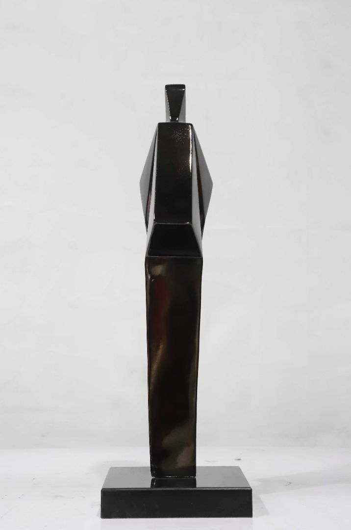 BLG-CX-Y- Curved type 002-50a2