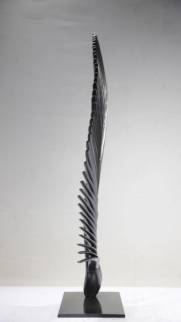 BLG-CX-Y- Wing shaped 006-12a2