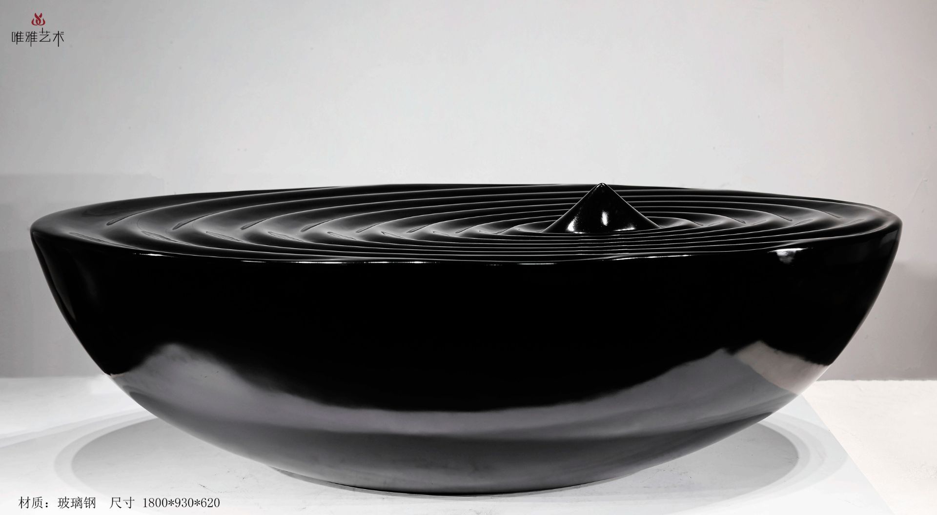 BLG-CX-Y- Disc type 013-03a1