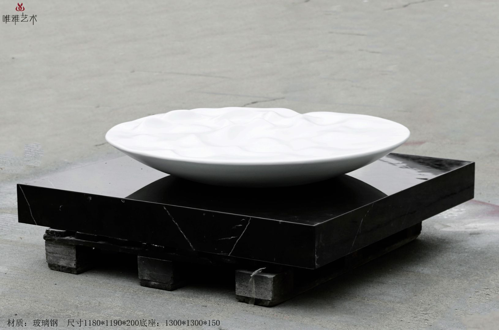 BLG-CX-Y- Disc type 013-12a1