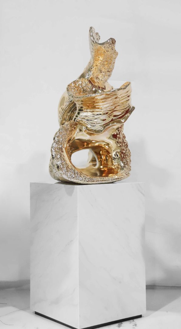 BLG-CX-D- The Taihu Lake Stone 004-61a3