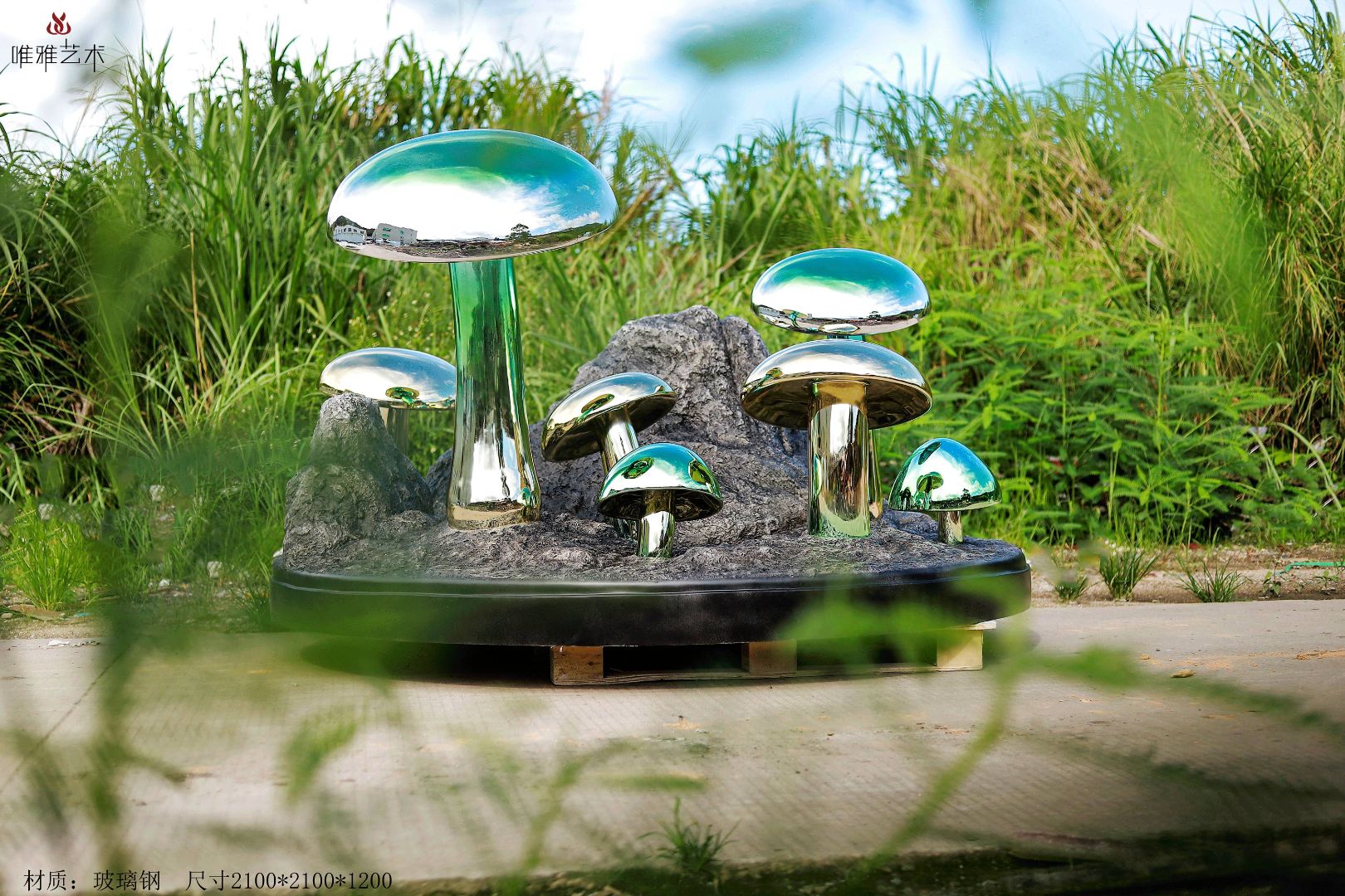 BLG-CX-D- mushroom 016-01a1