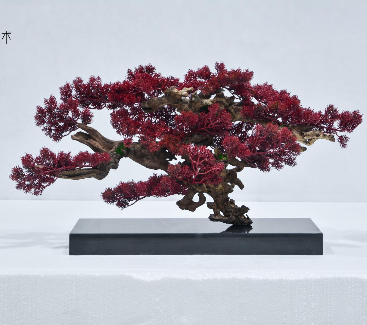 MD- tree 018-01a1
