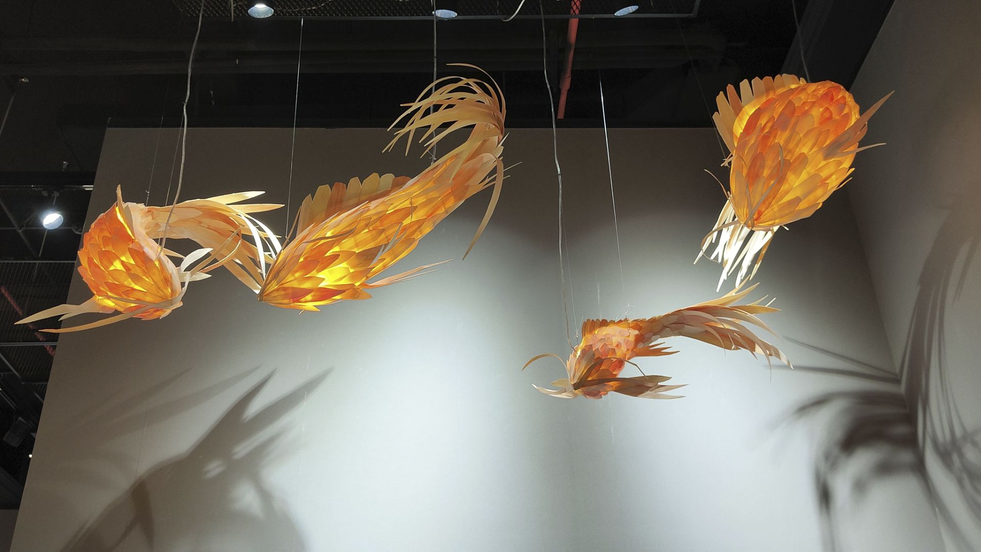 MD- fish 025-01b1